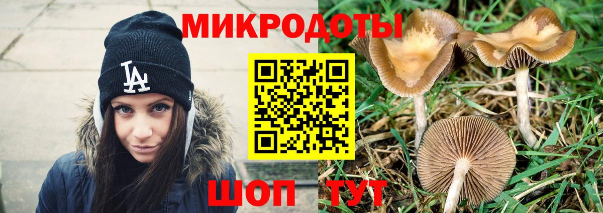 Псилоцибиновые грибы GOLDEN TEACHER  Вход с VPN  Ржев 