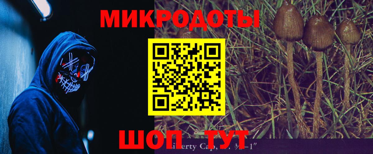 Псилоцибиновые грибы Cubensis Ржев